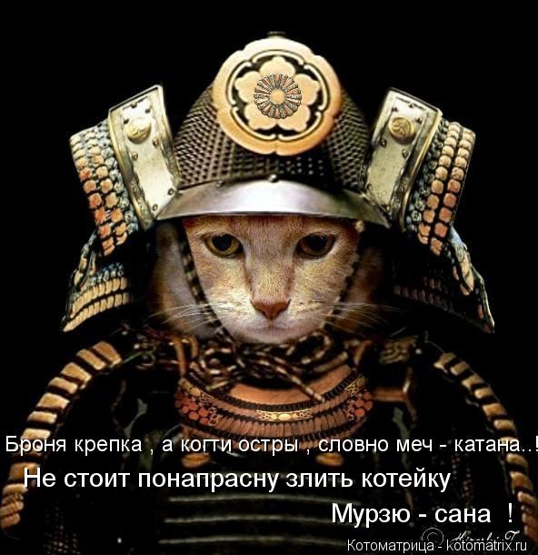 Котоматрица: Броня крепка , а когти остры , словно меч - катана..!   Мурзю - сана  !  Не стоит понапрасну злить котейку