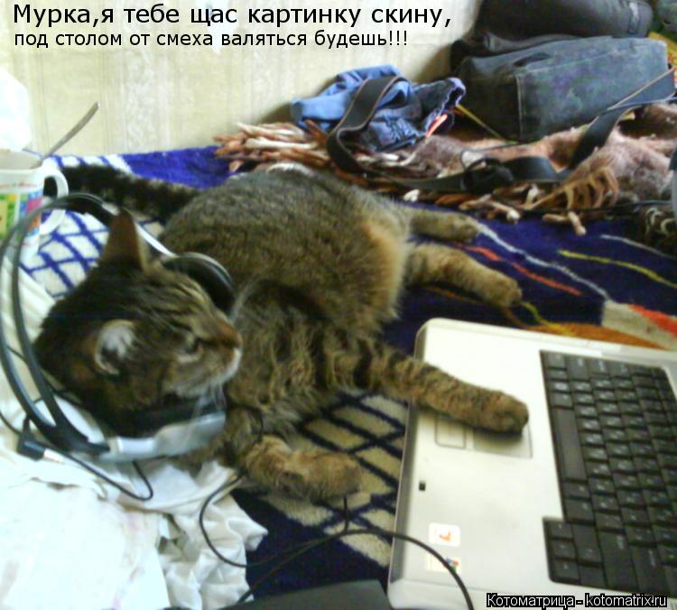 Котоматрица: Мурка,я тебе щас картинку скину, под столом от смеха валяться будешь!!!
