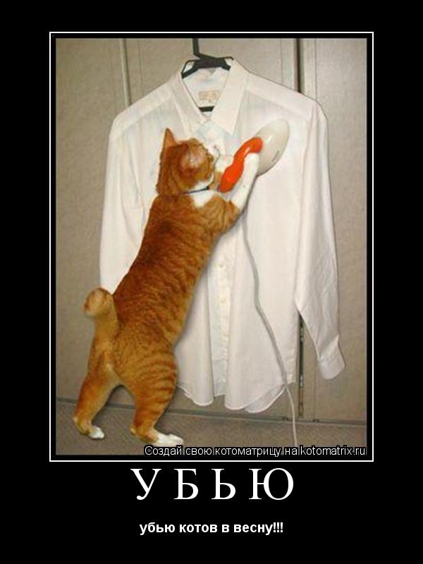 убью убью котов в весну!!!... Котоматрица: убью убью котов в весну!!!