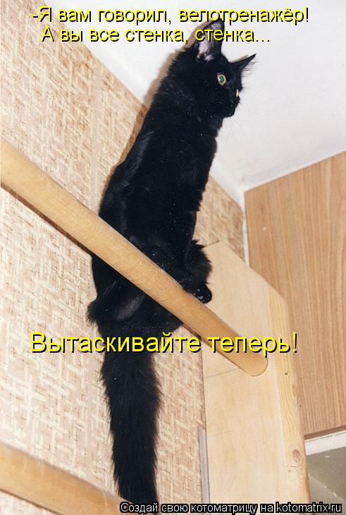 -Я вам говорил, велотренажёр! А вы все стенка, стенка... Вытаскивайте теперь!... Котоматрица: -Я вам говорил, велотренажёр! А вы все стенка, стенка... Вытаскивайте теперь!