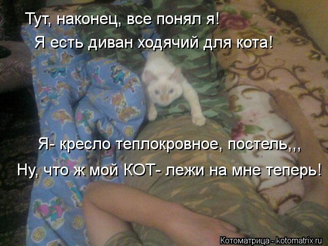 Тут, наконец, все понял я! Я есть диван ходячий для кота! Я- кресло теплокровное, постель,,, Ну, что ... Котоматрица: Тут, наконец, все понял я! Я есть диван ходячий для кота! Я- кресло теплокровное, постель,,, Ну, что ж мой КОТ- лежи на мне теперь!