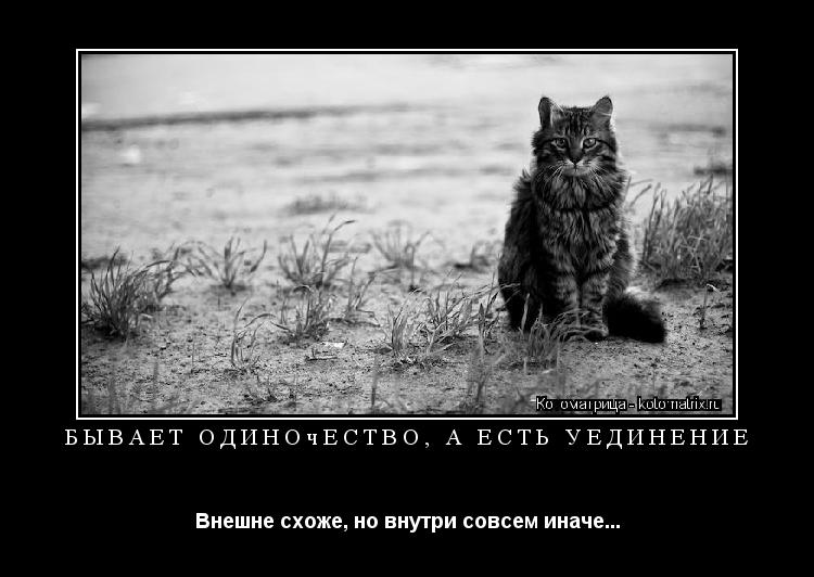 Бывает одиночество, а есть уединение Внешне схоже, но внутри совсем иначе...... Котоматрица: Бывает одиночество, а есть уединение Внешне схоже, но внутри совсем иначе...