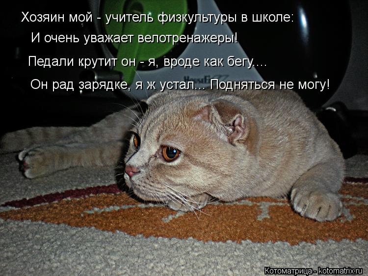 Хозяин мой - учитель физкультуры в школе: И очень уважает велотренажеры! Педали крутит он - я, вроде ... Котоматрица: Хозяин мой - учитель физкультуры в школе: И очень уважает велотренажеры! Педали крутит он - я, вроде как бегу.... Он рад зарядке, я ж устал... Под