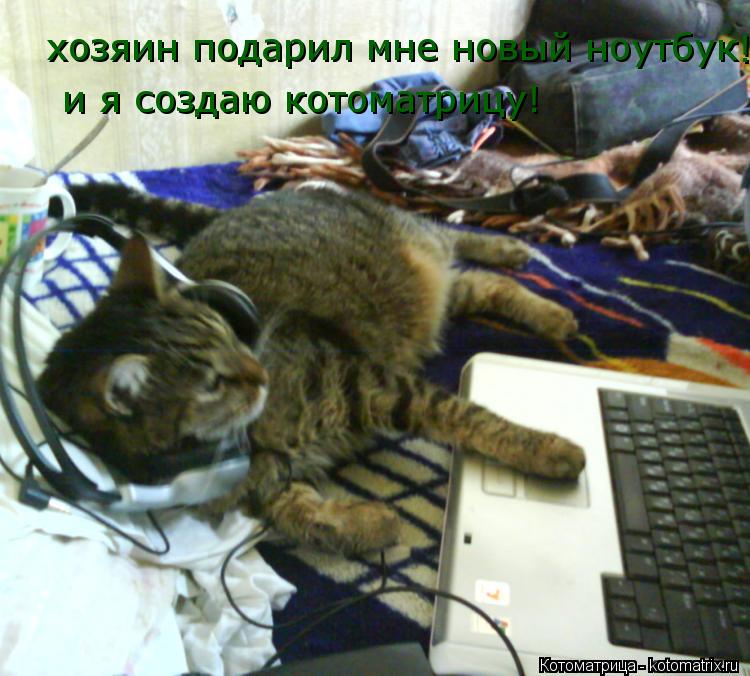 Котоматрица: хозяин подарил мне новый ноутбук ! и я создаю котоматрицу!