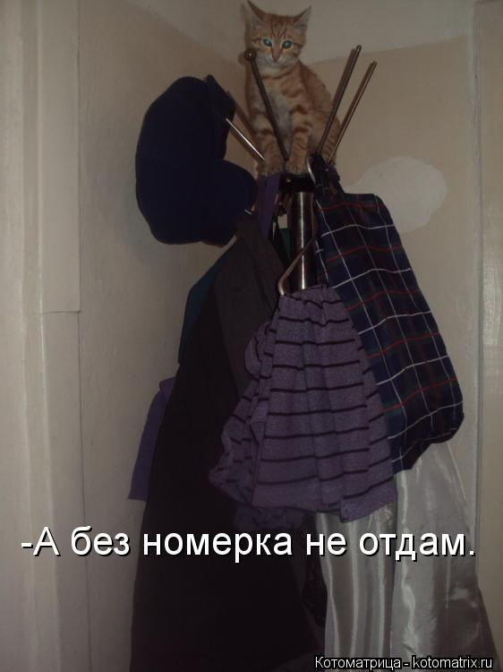 -А без номерка не отдам.... Котоматрица: -А без номерка не отдам.