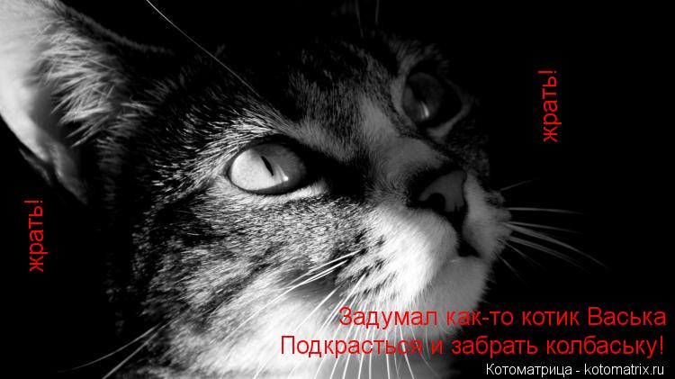 Задумал как-то котик Васька Подкрасться и забрать колбаську! жрать! жрать!... Котоматрица: Задумал как-то котик Васька Подкрасться и забрать колбаську! жрать! жрать!