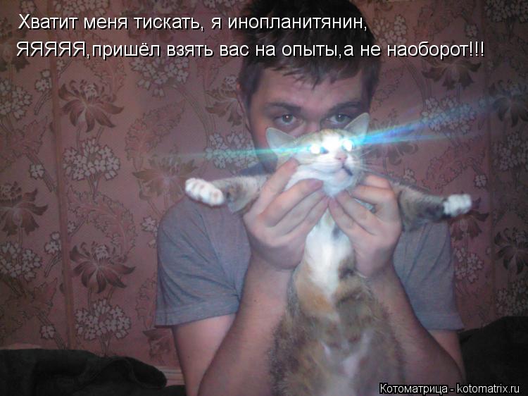 Хватит меня тискать, я инопланитянин, ЯЯЯЯЯ,пришёл взять вас на опыты,а не наоборот!!!... Котоматрица: Хватит меня тискать, я инопланитянин, ЯЯЯЯЯ,пришёл взять вас на опыты,а не наоборот!!!