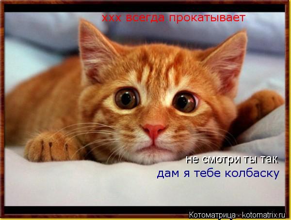 не смотри ты так дам я тебе колбаску ххх всегда прокатывает... Котоматрица: не смотри ты так дам я тебе колбаску ххх всегда прокатывает