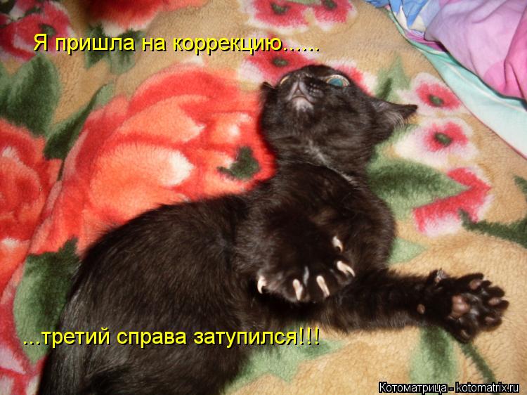 На коррекцию ходила На коррекцию ходила