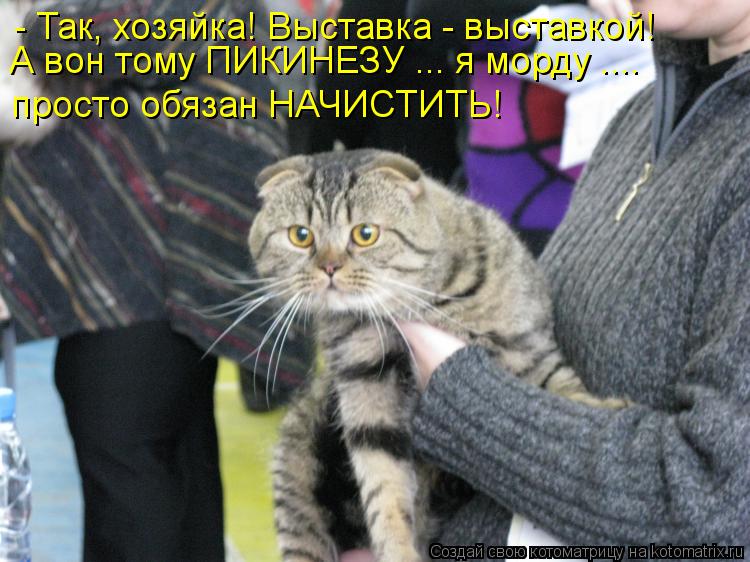 - Так, хозяйка! Выставка - выставкой! А вон тому ПИКИНЕЗУ ... я морду .... просто обязан НАЧИСТИТЬ!... Котоматрица: - Так, хозяйка! Выставка - выставкой! А вон тому ПИКИНЕЗУ ... я морду .... просто обязан НАЧИСТИТЬ!