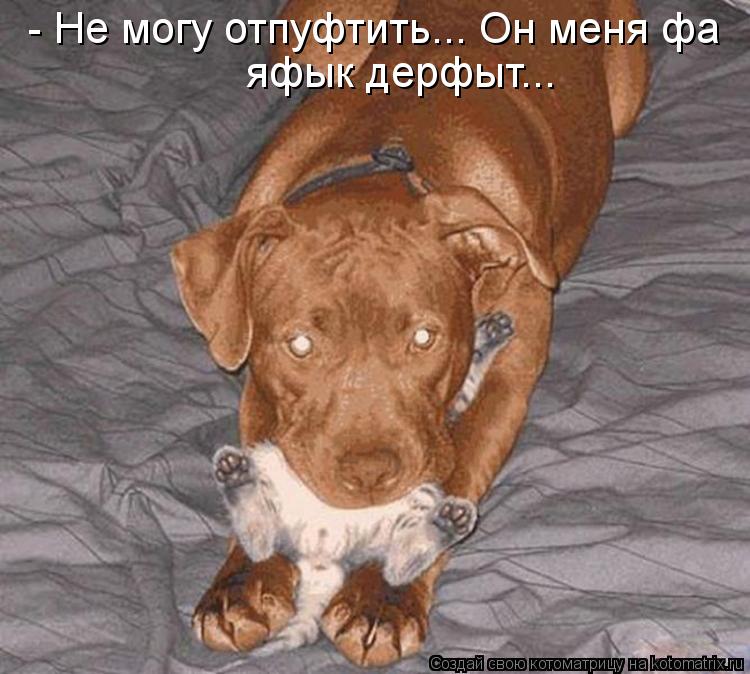 - Не могу отпуфтить... Он меня фа яфык дерфыт...... Котоматрица: - Не могу отпуфтить... Он меня фа яфык дерфыт...