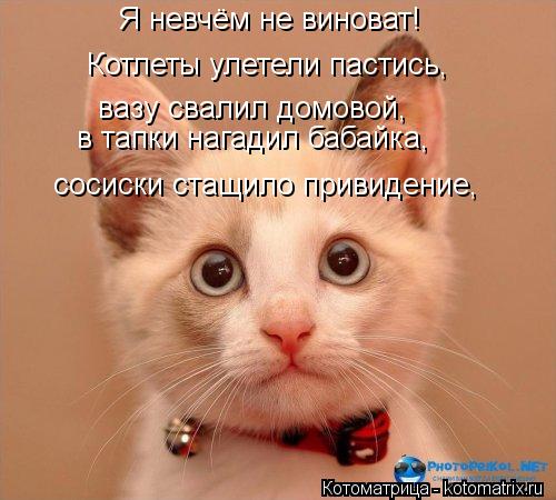 Я невчём не виноват! Котлеты улетели пастись, вазу свалил домовой, в тапки нагадил бабайка, сосиски с... Котоматрица: Я невчём не виноват! Котлеты улетели пастись, вазу свалил домовой, в тапки нагадил бабайка, сосиски стащило привидение,