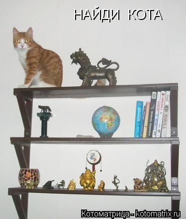 НАЙДИ КОТА... Котоматрица: НАЙДИ КОТА