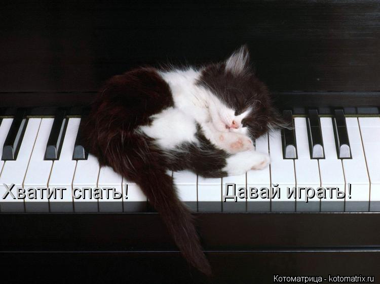 Хватит спать! Давай играть!... Котоматрица: Хватит спать! Давай играть!