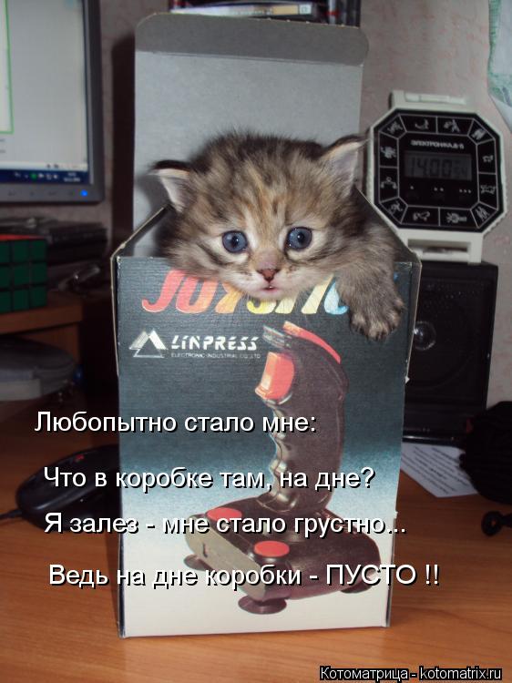 Любопытно стало мне: Что в коробке там, на дне? Я залез - мне стало грустно... Ведь на дне коробки - ... Котоматрица: Любопытно стало мне: Что в коробке там, на дне? Я залез - мне стало грустно... Ведь на дне коробки - ПУСТО !!