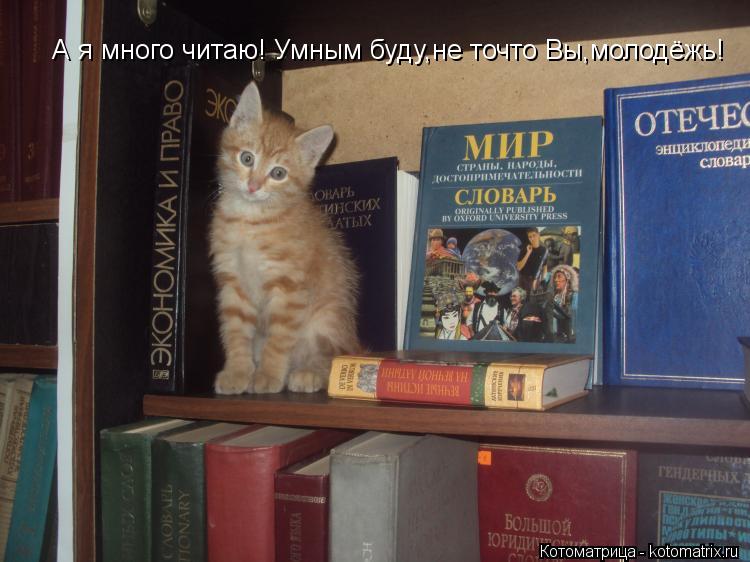 А я много читаю! Умным буду,не точто Вы,молодёжь!... Котоматрица: А я много читаю! Умным буду,не точто Вы,молодёжь!
