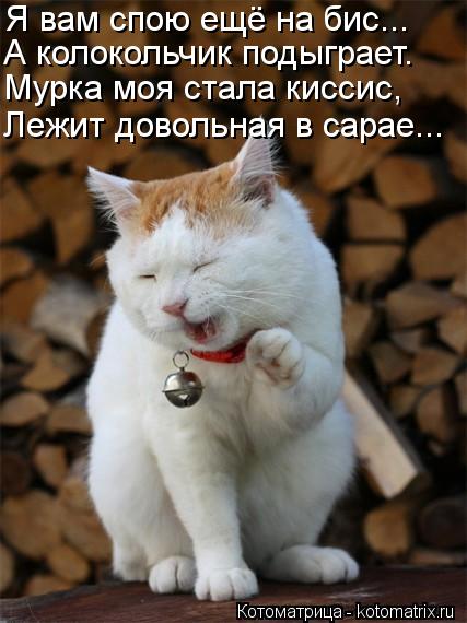 Котоматрица: Я вам спою ещё на бис... А колокольчик подыграет. Мурка моя стала киссис, Лежит довольная в сарае...