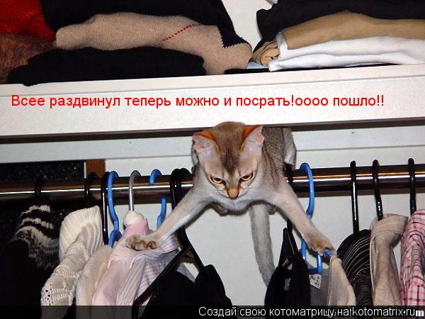 Котоматрица: Всее раздвинул теперь можно и посрать!оооо пошло!!