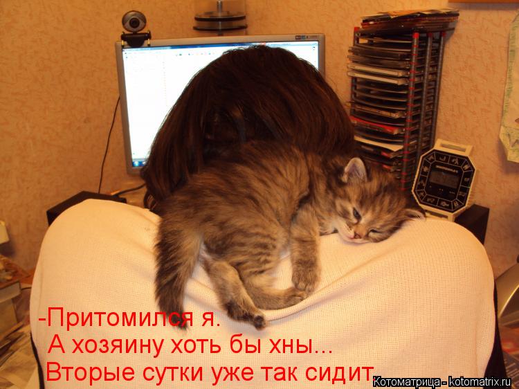 -Притомился я. А хозяину хоть бы хны... Вторые сутки уже так сидит.... Котоматрица: -Притомился я. А хозяину хоть бы хны... Вторые сутки уже так сидит.