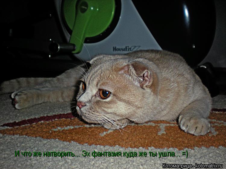 И что же натворить... Эх фантазия куда же ты ушла... =)... Котоматрица: И что же натворить... Эх фантазия куда же ты ушла... =)