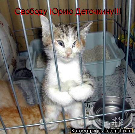 Свободу Юрию Деточкину!!! Свободу Юрию Деточкину!!!... Котоматрица: Свободу Юрию Деточкину!!! Свободу Юрию Деточкину!!!
