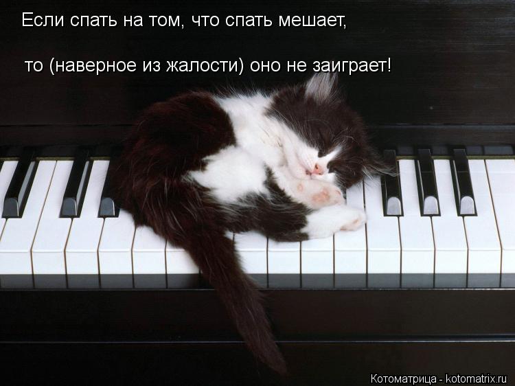 Котоматрица: Если спать на том, что спать мешает,  то (наверное из жалости) оно не заиграет!