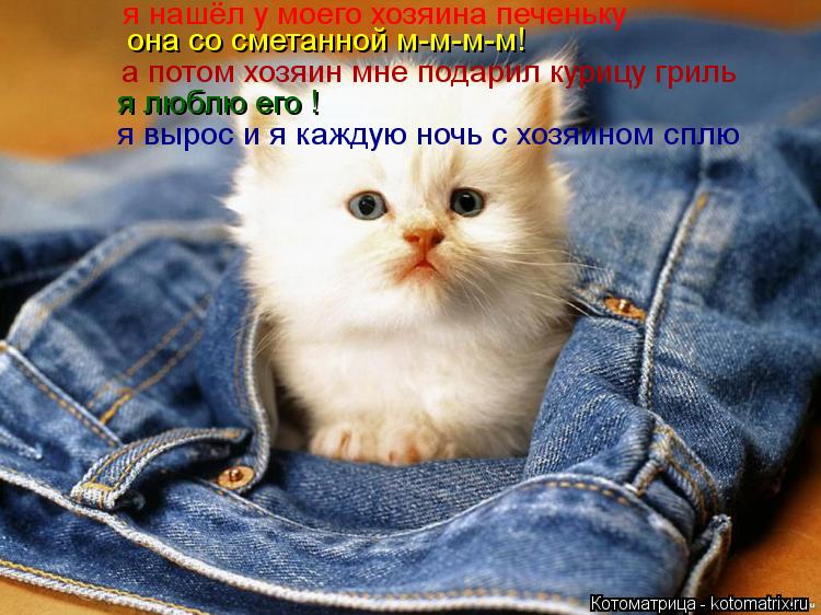 Котоматрица: я нашёл у моего хозяина печеньку она со сметанной м-м-м-м! а потом хозяин мне подарил курицу гриль я люблю его ! я вырос и я каждую ночь с хозяи