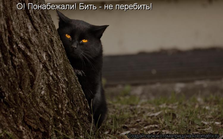 О! Понабежали! Бить - не перебить!... Котоматрица: О! Понабежали! Бить - не перебить!