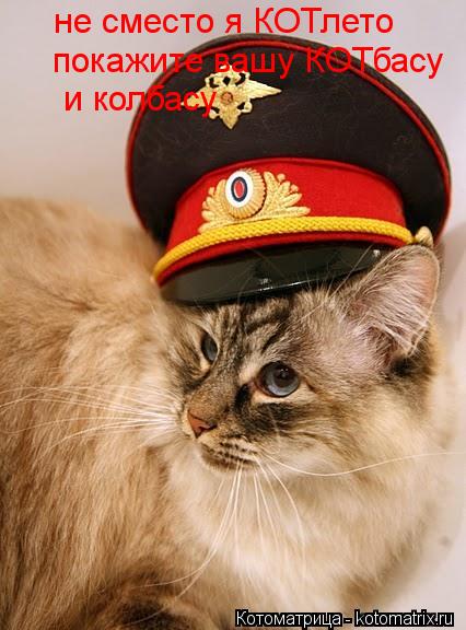 Котоматрица: не сместо я КОТлето покажите вашу КОТбасу  и колбасу