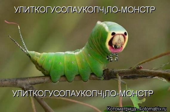 УЛИТКОГУСОПАУКОПЧЁЛО-МОНСТР УЛИТКОГУСОПАУКОПЧЁЛО-МОНСТР... Котоматрица: УЛИТКОГУСОПАУКОПЧЁЛО-МОНСТР УЛИТКОГУСОПАУКОПЧЁЛО-МОНСТР