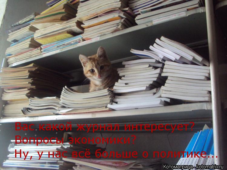 Вас какой журнал интересует? Вопросы экономики? Ну, у нас всё больше о политике...... Котоматрица: Вас какой журнал интересует? Вопросы экономики? Ну, у нас всё больше о политике...
