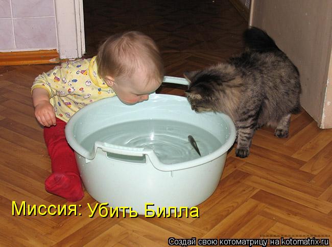 Миссия: Миссия: Убить Билла... Котоматрица: Миссия: Миссия: Убить Билла