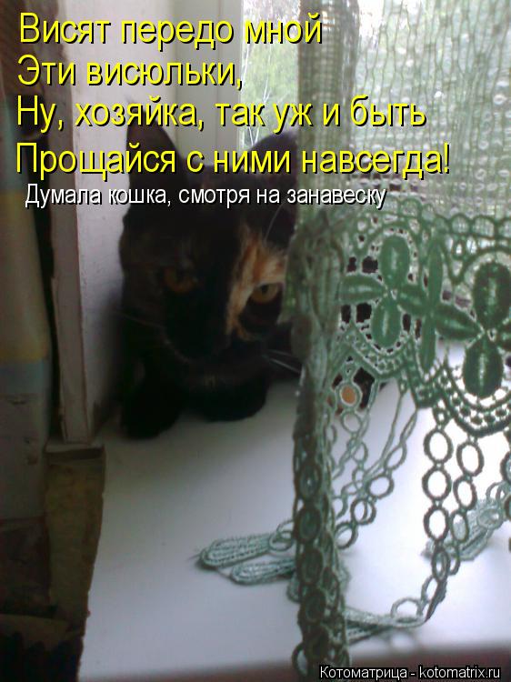 Висят передо мной Эти висюльки, Ну, хозяйка, так уж и быть Прощайся с ними навсегда! Думала кошка, см... Котоматрица: Висят передо мной Эти висюльки, Ну, хозяйка, так уж и быть Прощайся с ними навсегда! Думала кошка, смотря на занавеску