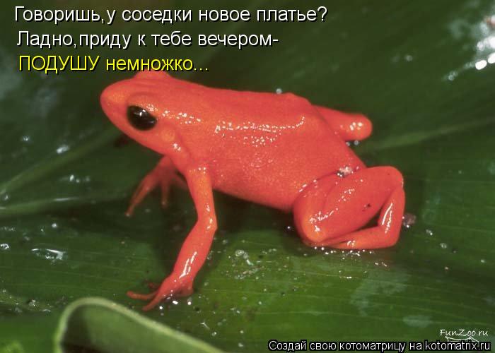 Говоришь,у соседки новое платье? Ладно,приду к тебе вечером- ПОДУШУ немножко...... Котоматрица: Говоришь,у соседки новое платье? Ладно,приду к тебе вечером- ПОДУШУ немножко...