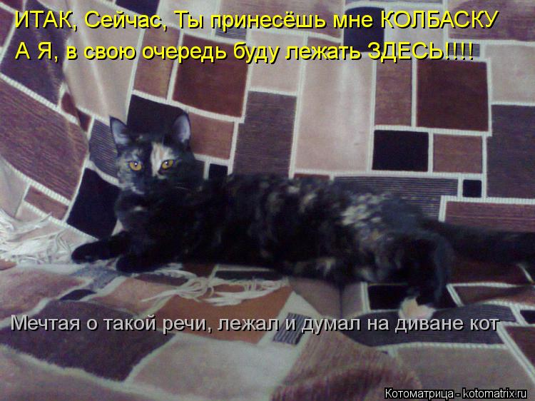 ИТАК, Сейчас, Ты принесёшь мне КОЛБАСКУ А Я, в свою очередь буду лежать ЗДЕСЬ!!!! Мечтая о такой речи... Котоматрица: ИТАК, Сейчас, Ты принесёшь мне КОЛБАСКУ А Я, в свою очередь буду лежать ЗДЕСЬ!!!! Мечтая о такой речи, лежал и думал на диване кот