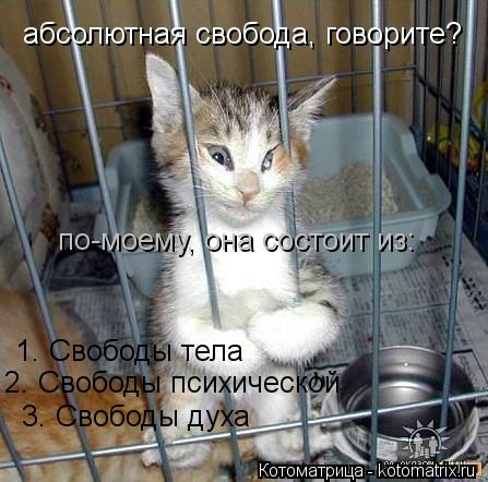 абсолютная свобода, говорите? по-моему, она состоит из: 1. Свободы тела 2. Свободы психической 3. Сво... Котоматрица: абсолютная свобода, говорите? по-моему, она состоит из: 1. Свободы тела 2. Свободы психической 3. Свободы духа