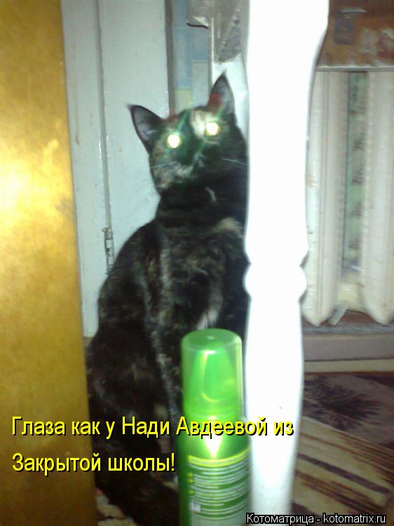 Глаза как у Нади Авдеевой из Закрытой школы!... Котоматрица: Глаза как у Нади Авдеевой из Закрытой школы!