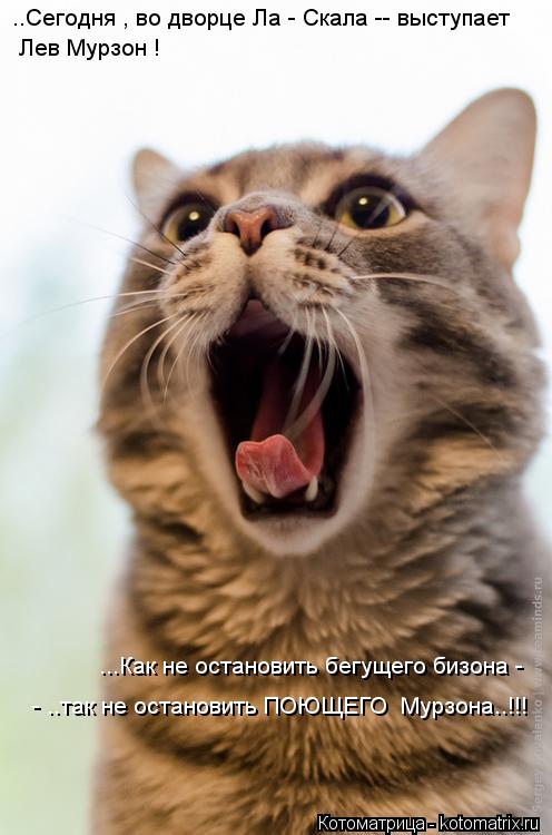 Котоматрица: ..Сегодня , во дворце Ла - Скала -- выступает  Лев Мурзон !  ...Как не остановить бегущего бизона -  - ..так не остановить ПОЮЩЕГО  Мурзона..!!!