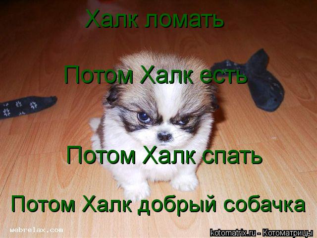 Халк ломать Потом Халк есть Потом Халк спать Потом Халк добрый собачка... Котоматрица: Халк ломать Потом Халк есть Потом Халк спать Потом Халк добрый собачка