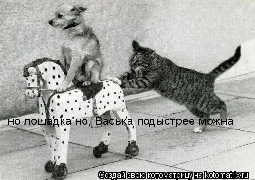 но лошадка но, Васька подыстрее можна... Котоматрица: но лошадка но, Васька подыстрее можна