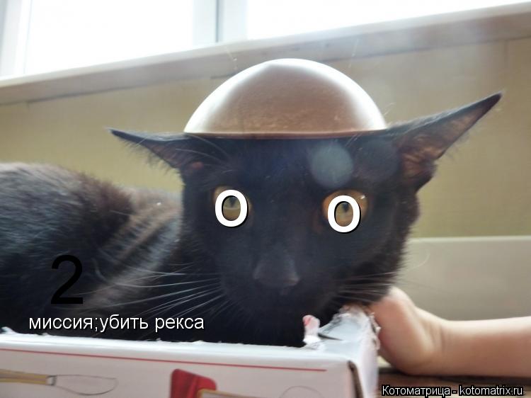 миссия;убить рекса о о 2... Котоматрица: миссия;убить рекса о о 2
