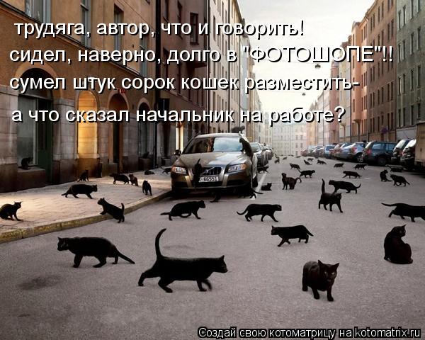 трудяга, автор, что и говорить! сидел, наверно, долго в "ФОТОШОПЕ"!! сумел штук сорок кошек разместит... Котоматрица: трудяга, автор, что и говорить! сидел, наверно, долго в "ФОТОШОПЕ"!! сумел штук сорок кошек разместить- а что сказал начальник на работе?