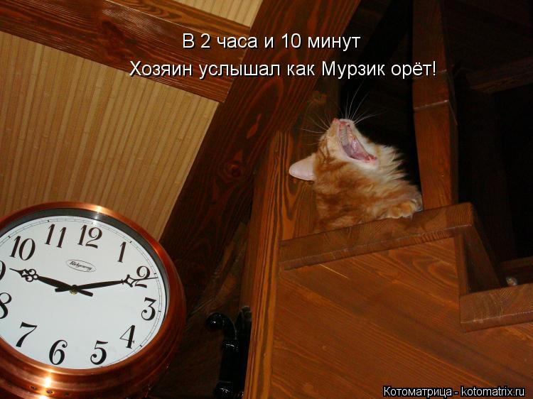 В 2 часа и 10 минут Хозяин услышал как Мурзик орёт!... Котоматрица: В 2 часа и 10 минут Хозяин услышал как Мурзик орёт!