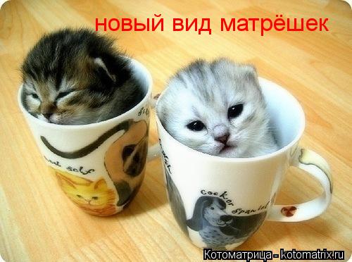 новый вид матрёшек... Котоматрица: новый вид матрёшек