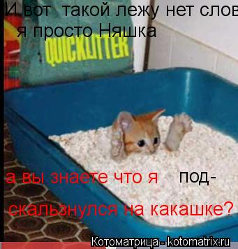 И вот такой лежу нет слов я просто Няшка а вы знаете что я под- скальзнулся на какашке?... Котоматрица: И вот такой лежу нет слов я просто Няшка а вы знаете что я под- скальзнулся на какашке?