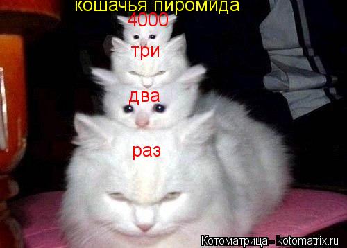 кошачья пиромида раз два три 4000... Котоматрица: кошачья пиромида раз два три 4000