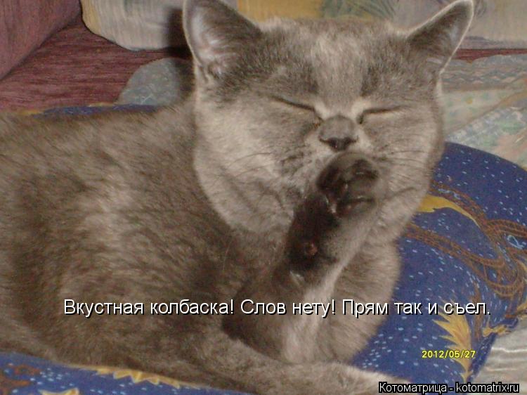 Вкустная колбаска! Слов нету! Прям так и съел.... Котоматрица: Вкустная колбаска! Слов нету! Прям так и съел.