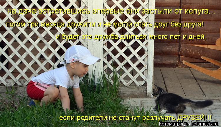 на даче встретившись впервые они застыли от испуга... потом три месяца дружили и не могли спать друг ... Котоматрица: на даче встретившись впервые они застыли от испуга... потом три месяца дружили и не могли спать друг без друга! и будет эта дружба длиться мн