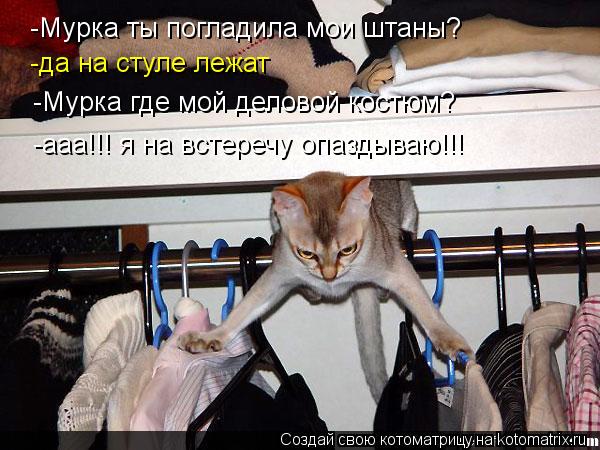 -Мурка ты погладила мои штаны? -да на стуле лежат -Мурка где мой деловой костюм? -ааа!!! я на встереч... Котоматрица: -Мурка ты погладила мои штаны? -да на стуле лежат -Мурка где мой деловой костюм? -ааа!!! я на встеречу опаздываю!!!