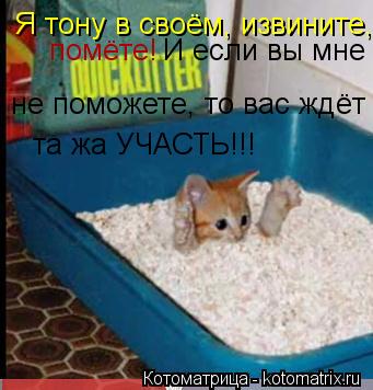 Я тону в своём, извините, помёте! И если вы мне не поможете, то вас ждёт та жа УЧАСТЬ!!!... Котоматрица: Я тону в своём, извините, помёте! И если вы мне не поможете, то вас ждёт та жа УЧАСТЬ!!!